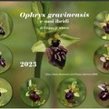 Un calendario dedicato alle orchidee
