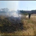 Due incendi nelle campagne tra Altamura e Santeramo