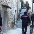 Controlli antidroga dei carabinieri, cinque arresti