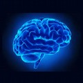 Al via la Settimana della Prevenzione dell'Invecchiamento Mentale 2017