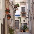 Festival dei Claustri, al via il bando dedicato agli artisti