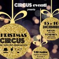 E' "Christmas Circus " nell'atrio del "Viti Maino "