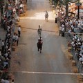 Processione in onore di Santa Maria Assunta