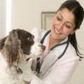 Si costituisce un elenco di medici veterinari