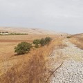 Passeggiata murgiana alla scoperta della vecchia ferrovia e dell'ipogeo dei Canadesi