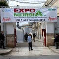 ExpoMurgia 2010, video ed interviste