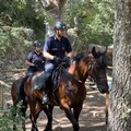 Controlli nei boschi con i carabinieri a cavallo