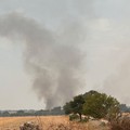 Incendi Murgia: si contano i danni in agricoltura