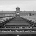 La Shoah, il Giorno della Memoria