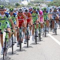 Il Giro d'Italia 2010 fa tappa nel Parco Nazionale dell'Alta Murgia