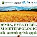 Agricoltura: gli scenari mondiali e i riflessi sull'economia