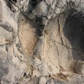 Speciale Cava dei dinosauri 3, le orme nella lista propositiva dell'Unesco