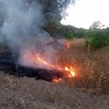 Altamura: spenti due incendi