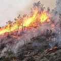 Nuovo incendio in località Lamalunga