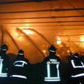 Incendi in Puglia, aumentato il numero dei casi