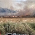 Prevenzione incendi, il Parco si affida agli agricoltori