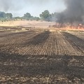 Protezione civile:  "incendi in sensibile calo ad Altamura "