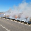 Spenti due incendi ad Altamura