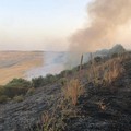 Incendi: Coldiretti Puglia, c’è mano piromani in 6 roghi su 10