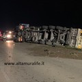 Ribaltato su Altamura Corato un tir con carico cereali