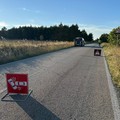 Cinghiale attraversa strada, scontro con moto