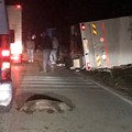 Sulla strada Corato-Altamura un altro incidente provocato da cinghiali