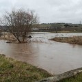 Agricoltura: Regione Puglia chiede calamità naturale per piogge