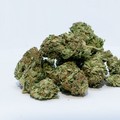 Cannabinoidi, si attende l'approvazione del Disegno di Legge