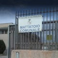 Mattatoio comunale: precisazioni da Palazzo di Città