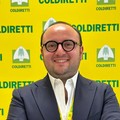 Donato Mercadante al vertice di Coldiretti Giovani impresa