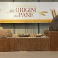 Museo archeologico: orari prolungati per Giornata mondiale del pane