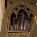 Cattedrale di Altamura: letture e concerto d'organo
