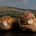 Consorzio pane di Altamura Dop: impegno costante per candidatura Unesco