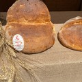 U Puén Nest: festa di comunità per due giorni