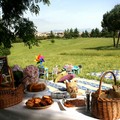 Pasquetta Green?