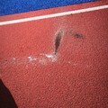 Danni alla pista di atletica per fumogeni e petardi