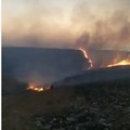 Incendi nell’Alta Murgia, richiesta di stato di calamità