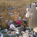Degrado e vandalismo ad Altamura