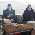 Olive da tavola in cattivo stato di conservazione