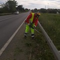 Pericolo incendi e sicurezza, taglio dell'erba su strade provinciali