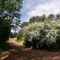 Suoni della Murgia: concerti in oasi verde di Murgia Sgolgore e Masseria Malerba