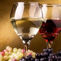  "Ridurre i consumi mondiali di alcol, allarme per i vini di Puglia "
