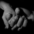  "A.A.A. nuovi stili di vita cercasi "
