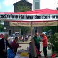 Un gazebo in piazza