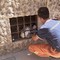 Interventi per incendi e per recupero di un gatto