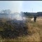Ordinanza per pulizia di suoli e terreni agricoli