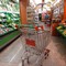 Rinnovata la Carta dedicata a te, 500 euro per spesa in generi alimentari