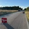 Cinghiale attraversa strada, scontro con moto