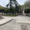 Villa della fontana: interventi su alberi da abbattere