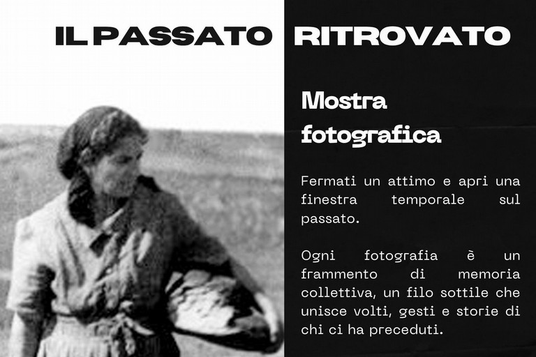 Locandina con foto di Gatti